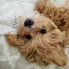 ユーザー画像