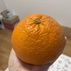 ユーザー画像