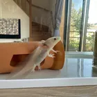 ユーザー画像