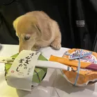ユーザー画像
