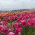 ユーザー画像