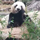 ユーザー画像