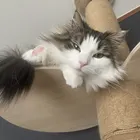 ユーザー画像