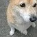 ユーザー画像