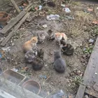 ユーザー画像