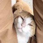 ユーザー画像