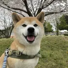 ユーザー画像