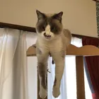 ユーザー画像