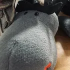 ユーザー画像