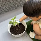 ユーザー画像