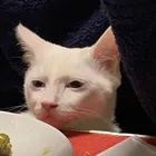ユーザー画像