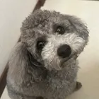 ユーザー画像