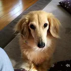 ユーザー画像