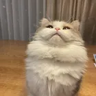 ユーザー画像