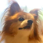 ユーザー画像