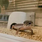ユーザー画像