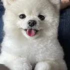 ユーザー画像