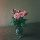ユーザー画像