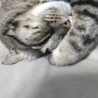 ユーザー画像