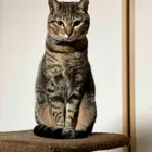 ユーザー画像