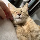 ユーザー画像