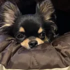 ユーザー画像