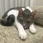 ユーザー画像