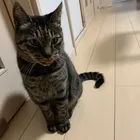 ユーザー画像