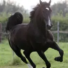 ユーザー画像