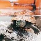 ユーザー画像