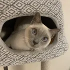 ユーザー画像