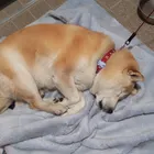 ユーザー画像