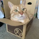 ユーザー画像