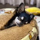 ユーザー画像