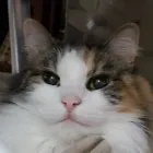 ユーザー画像
