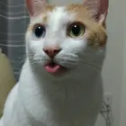 ユーザー画像