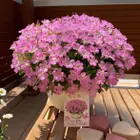 ユーザー画像