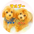 ユーザー画像