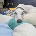 ユーザー画像