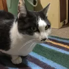ユーザー画像