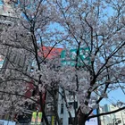 ユーザー画像