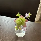 HIROMI