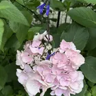 ユーザー画像