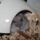 ユーザー画像