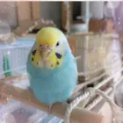 ユーザー画像