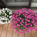 ユーザー画像