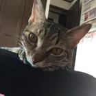 ユーザー画像