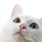 ユーザー画像