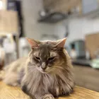 ユーザー画像