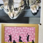 ユーザー画像